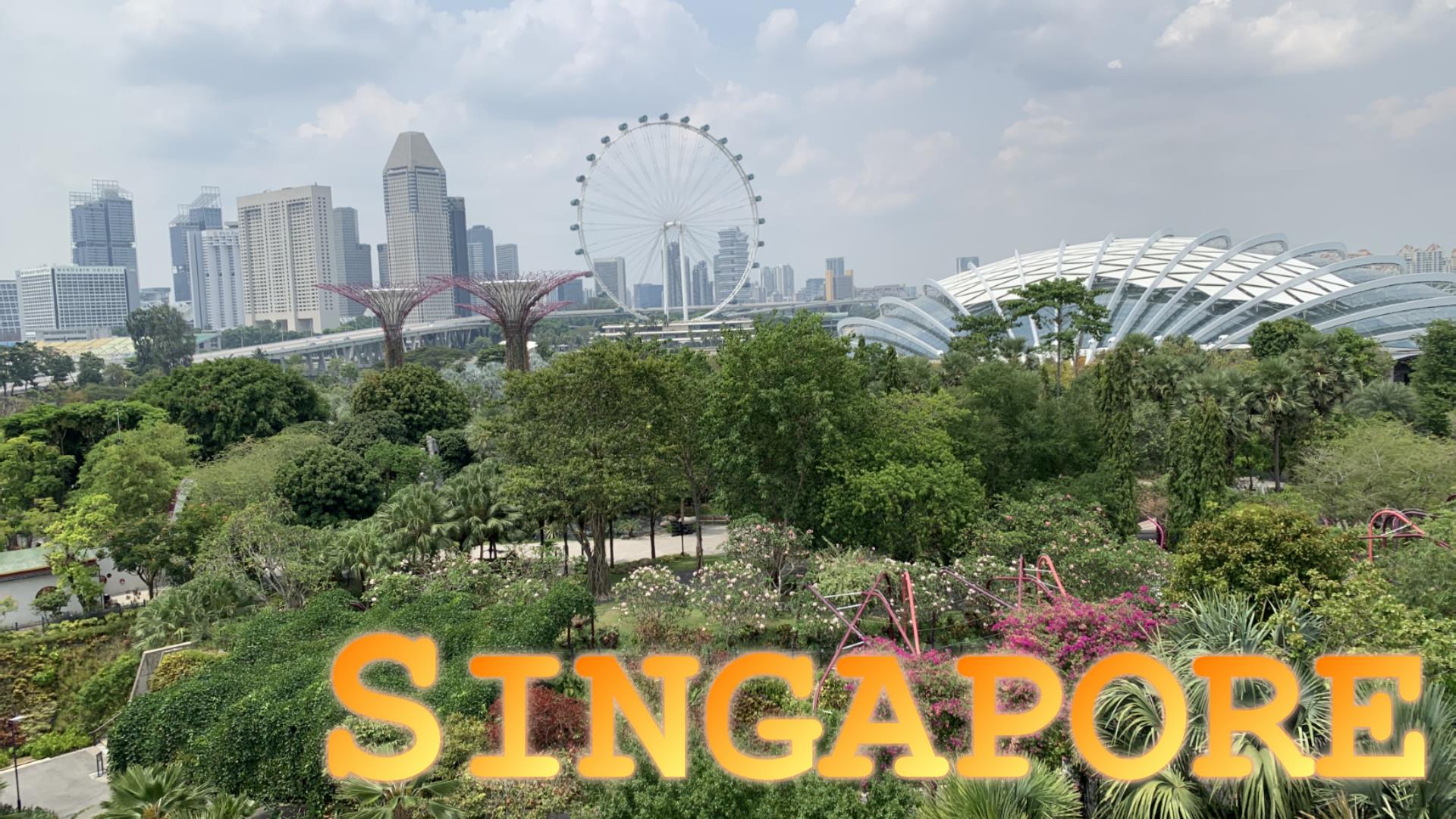 シンガポール！
